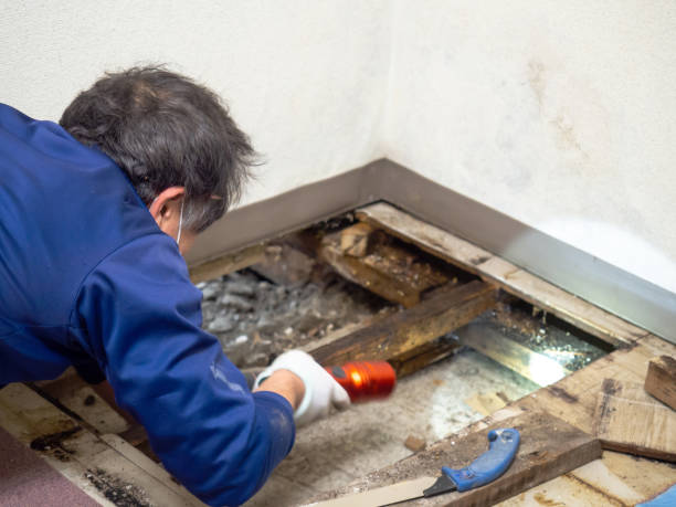 Best Industrial Mold Remediation in Bannockburn, IL