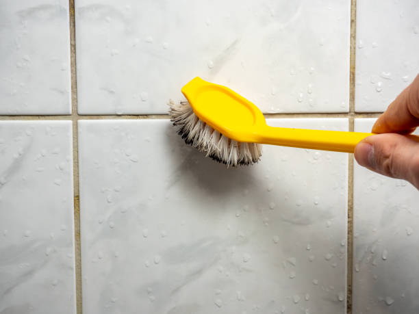Best Localized Mold Remediation (e.g., coastal areas, humid climates) in Bannockburn, IL