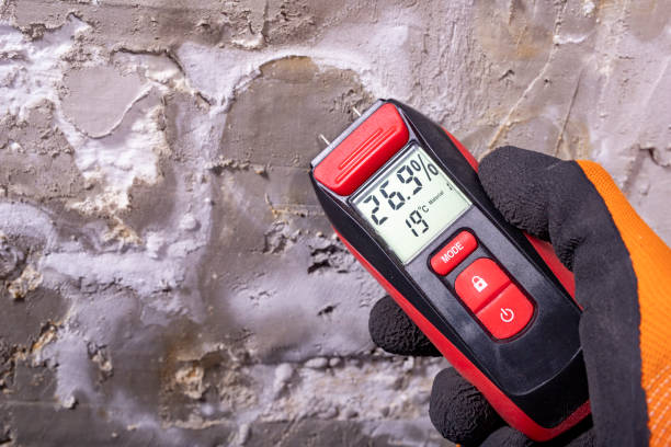 Trusted Bannockburn, IL Mold Remediation Experts
