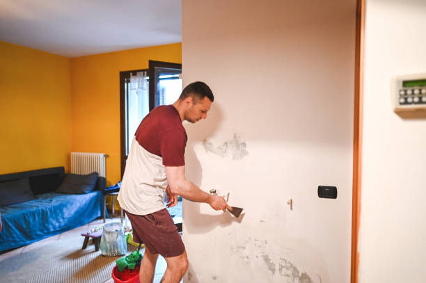 Best Post-Remediation Services in Bannockburn, IL